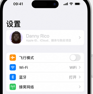 商城appleID维修服务iPhone设置中Apple ID显示为灰色无法使用 