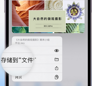 商城apple维修中心分享iPhone文件应用中存储和找到下载文件