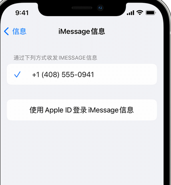 商城apple维修iPhone上无法正常发送iMessage信息 