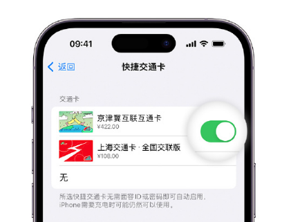 商城apple维修点分享iPhone上更换Apple Pay快捷交通卡手绘卡面 