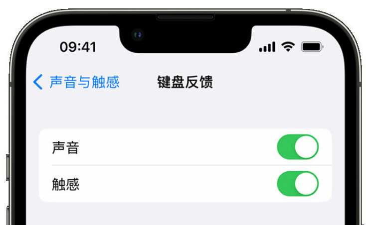 商城苹果手机维修分享iPhone 14触感键盘使用方法 