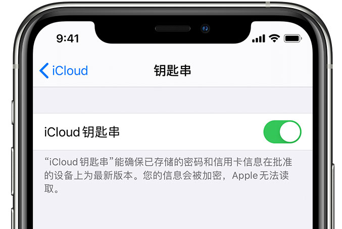 商城苹果手机维修分享在 iPhone 上开启 iCloud 钥匙串之后会储存哪些信息 
