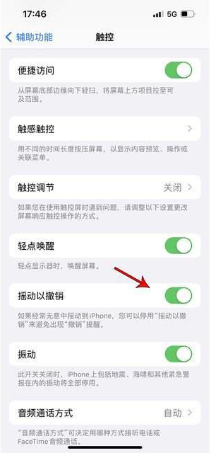 商城苹果手机维修分享iPhone手机如何设置摇一摇删除文字 